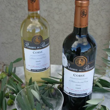 Bed And Breakfast Bed & Breakfast